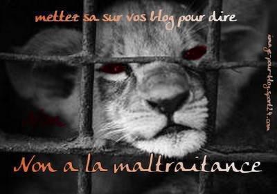 NON A LA MALTRAITANCE!!!